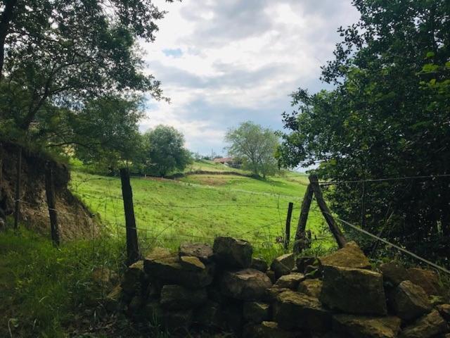 Casa Rural Dosal Ruiseñada Exteriér fotografie